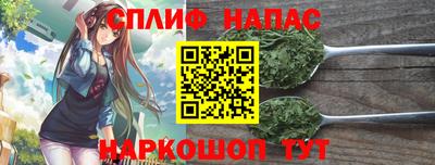 гашик Гусь-Хрустальный
