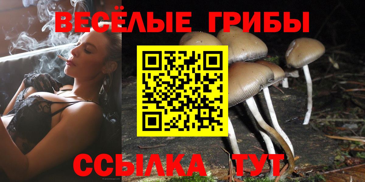 Псилоцибиновые грибы GOLDEN TEACHER  Вход с VPN  Железноводск 