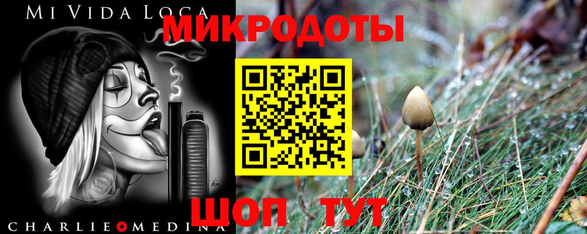 Галлюциногенные грибы Magic Shrooms Железноводск